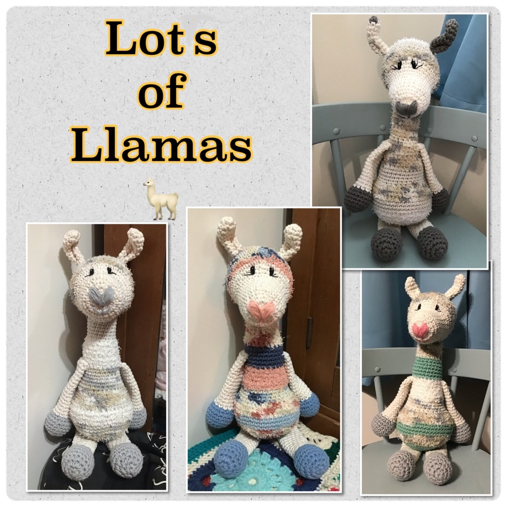 Lots of colourful llamas from basic white and grey to pink and blues